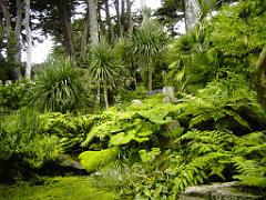 130 Ile de Batz Jardin Georges Delaselle_000040